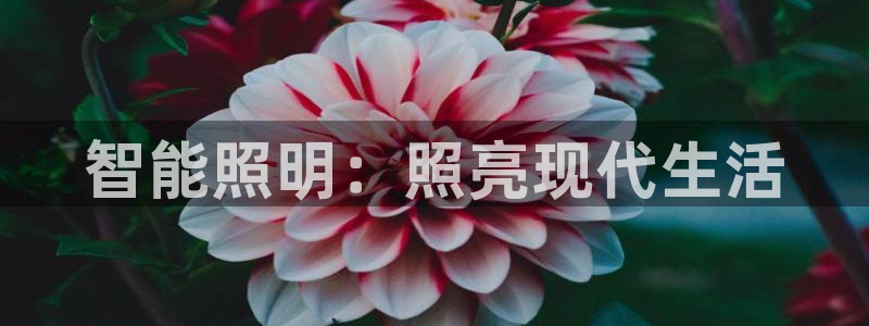 云顶国际网站是多少