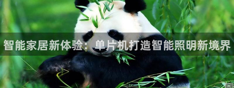 云顶集团在哪里