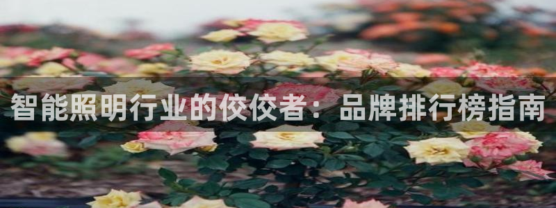 云顶国际官网官方下载