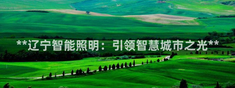 云顶国际服加速器