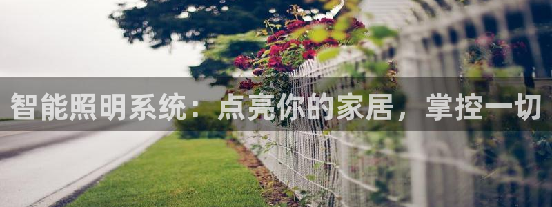 云顶国际怎么样