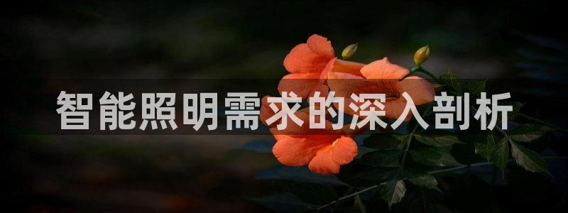 云顶集团中国分公司