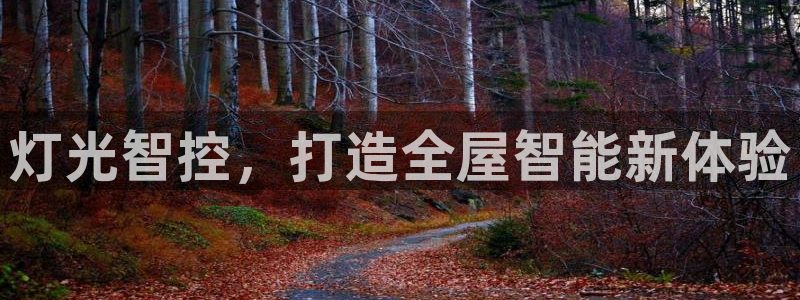 云顶国际什么时候能提现