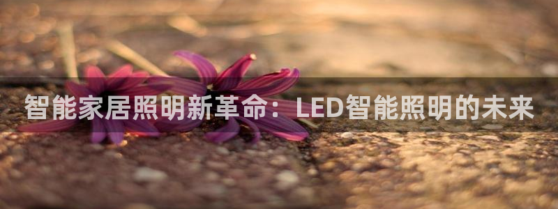 云顶国际下载地址