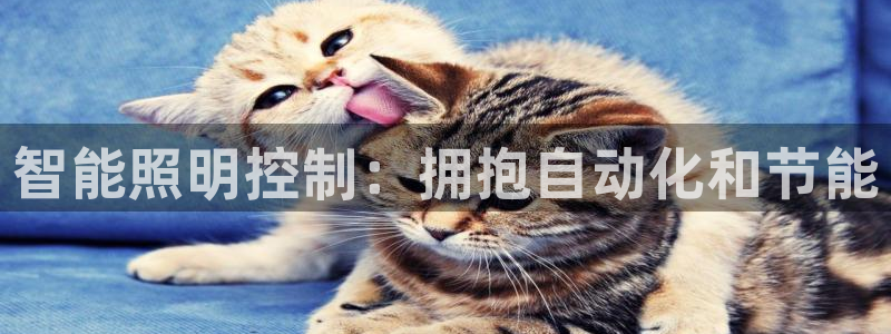 云顶国际集团io