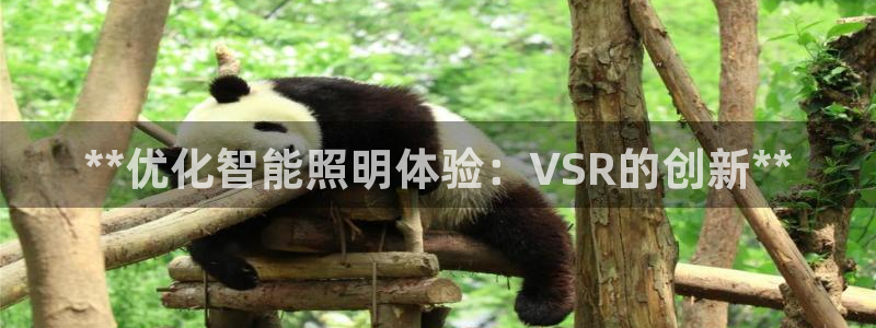 云顶国际服阵容