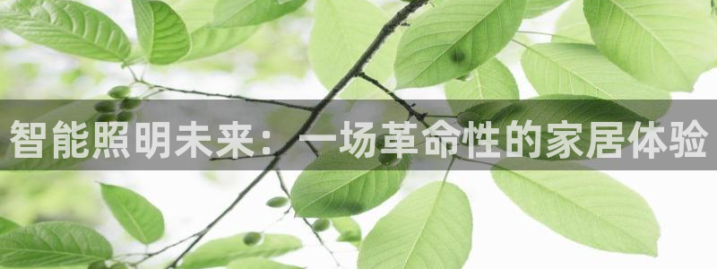 云顶国际部一年学费