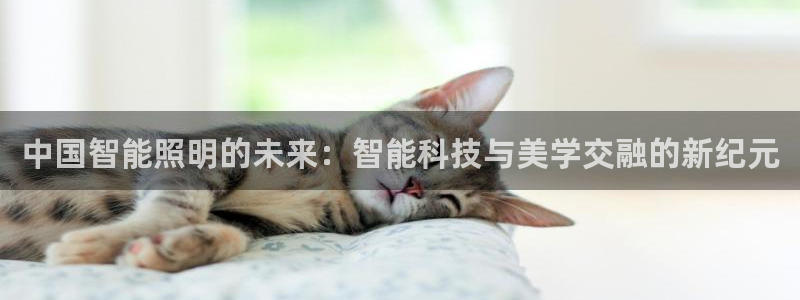 云顶国际服在哪下载