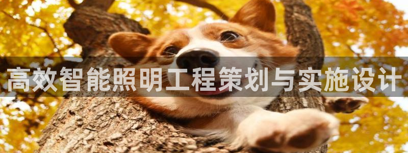 云顶国际是正规游戏吗安全吗