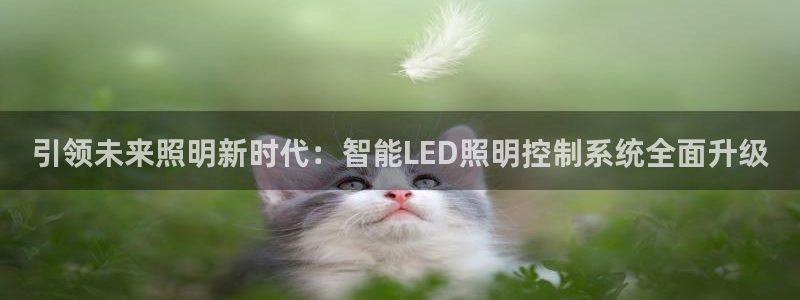 云顶国际服什么时候更新s9.5