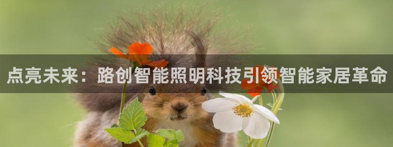 禹州云顶国际二手房