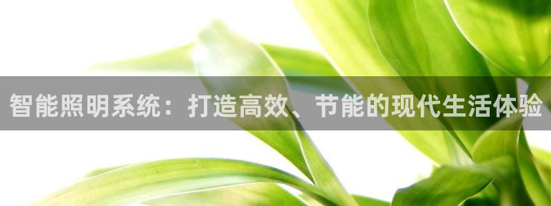 云顶国际会所电话