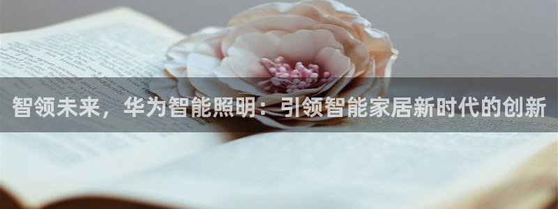 云顶国际二手房价格