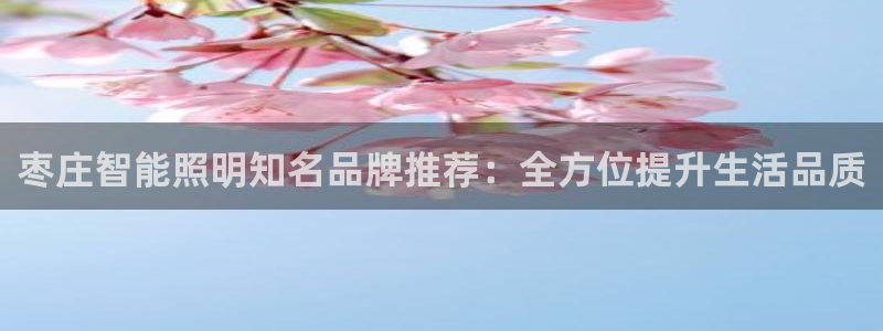 云顶新网站：枣庄智能照明知名品牌推荐：全