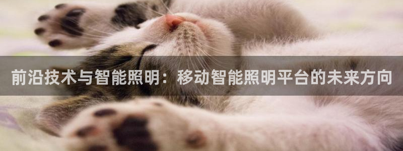 云顶国际服什么时候更新s108：前沿技术