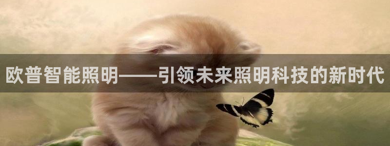 云顶国际--行业领导品牌