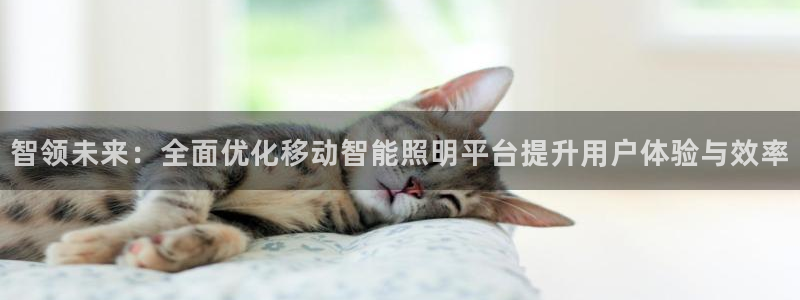 40081122云顶