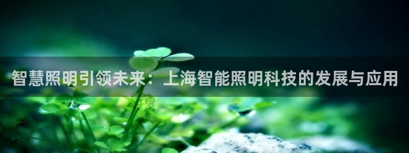 云顶国际连接：智慧照明引领未来：上海智能