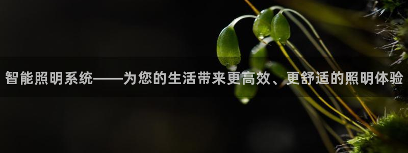 云顶国际大厦地址