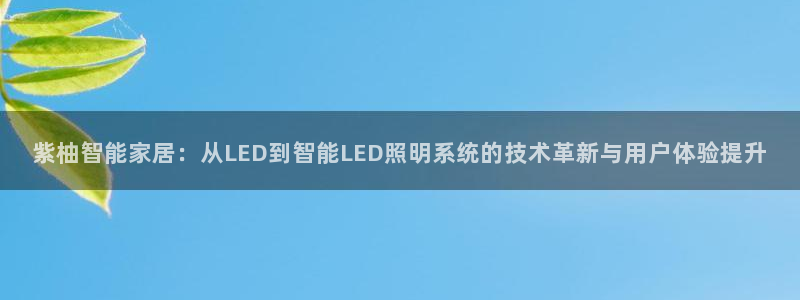 云顶国际怎么样