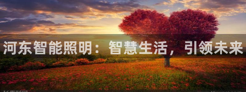 云顶国际app官方网站下载