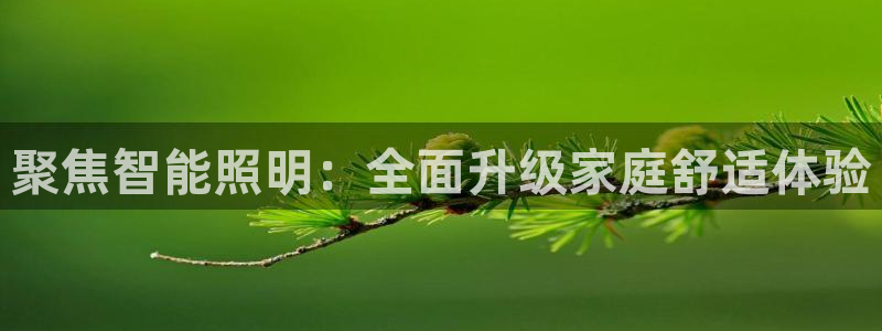 云顶国际培训中心学费