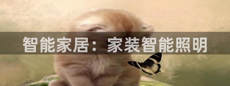 云顶国际服S9什么时候更新