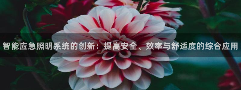 云顶国际集团官网首页入口
