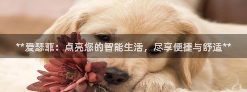 云顶集团公司官网