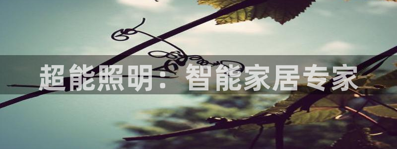 云顶国际公馆二手房