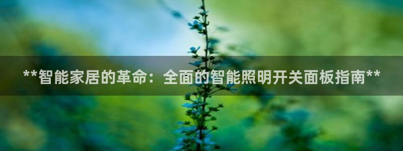 云顶国际官方网站下载安装