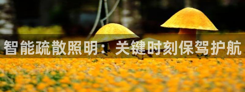 云顶国际酒店老板