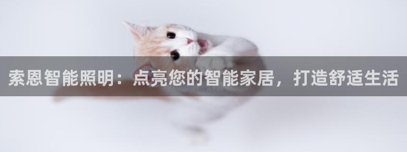 云顶集团网站app下载安装