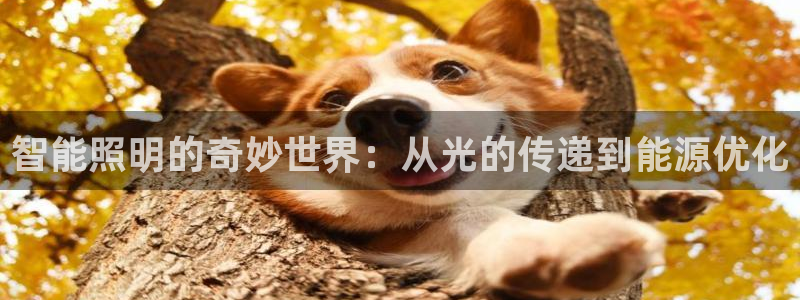 云顶集团3118app功能