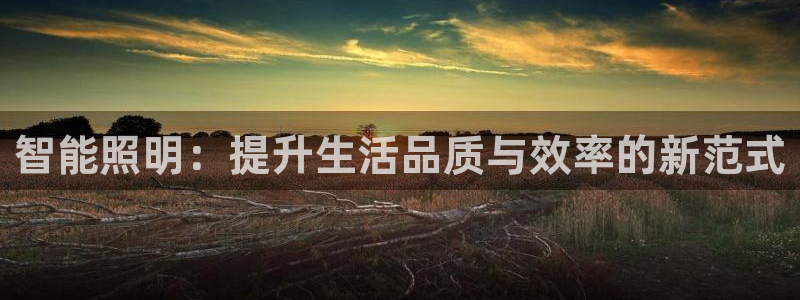 云顶国际测试服