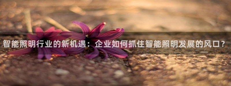 云顶国际电话号码查询