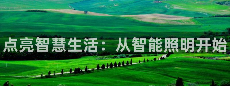 云顶国际--行业领导品牌