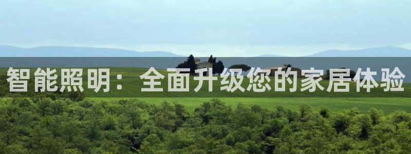 云顶国际提现不到账什么原因