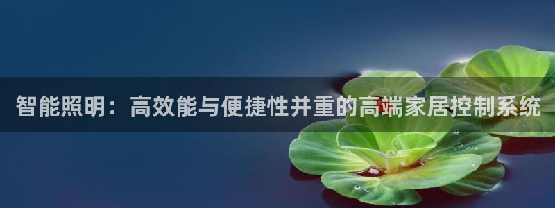 云顶国际app官方网站下载安装：智能照明