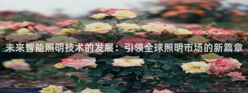 云顶国际创始人是谁呀